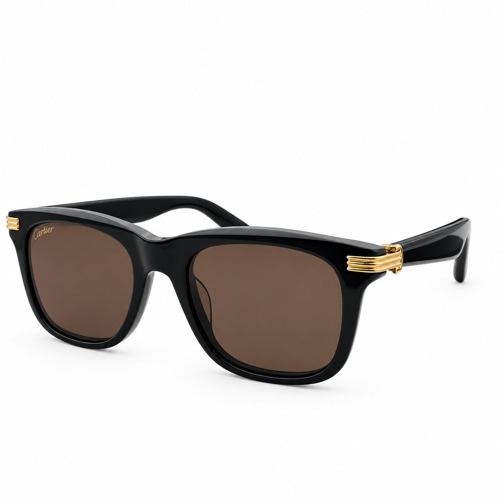 Cartier CT0396S