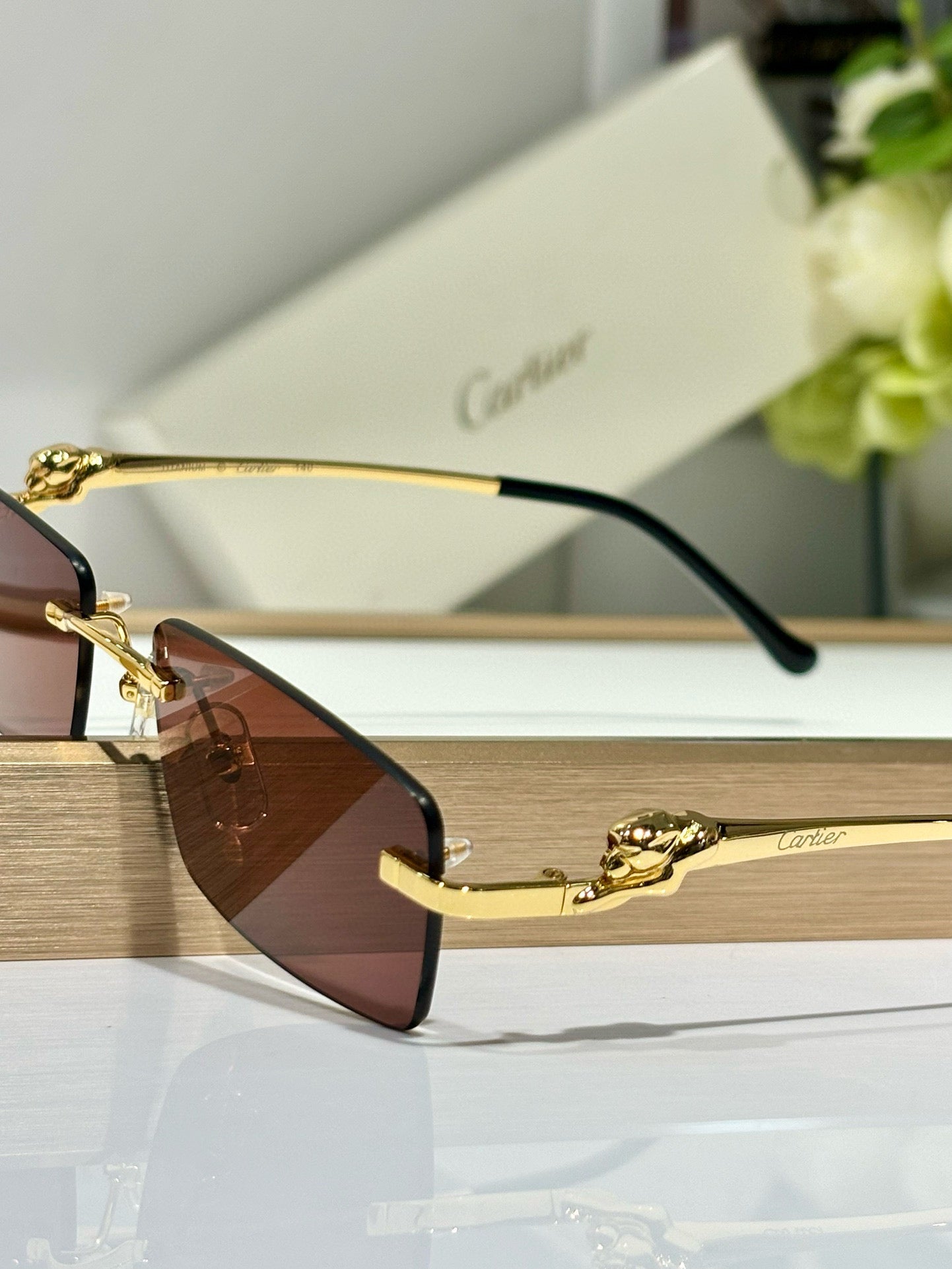 Cartier CT0430S