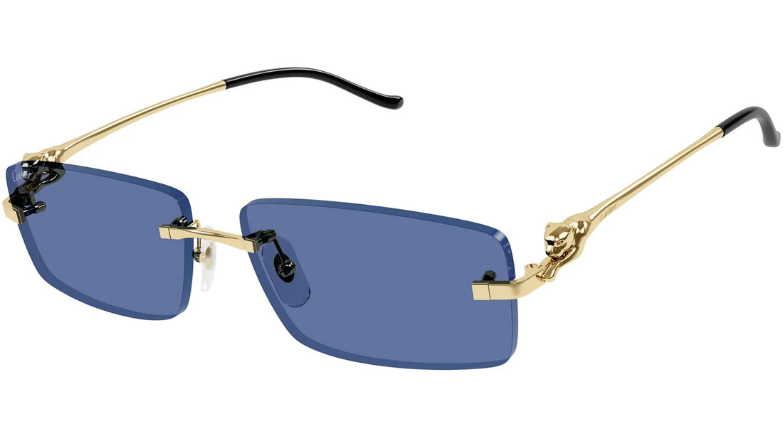 Cartier CT0430S
